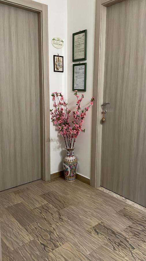 Gli Agrumi Giustenice 外观 照片