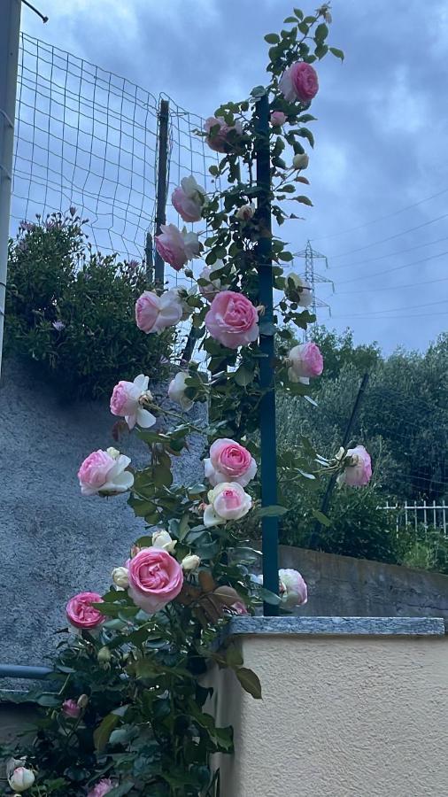 Gli Agrumi Giustenice 外观 照片
